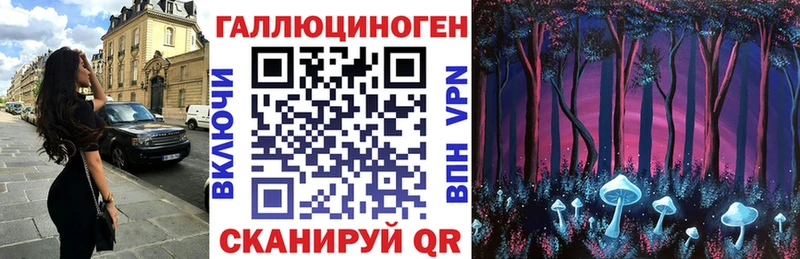 Псилоцибиновые грибы Psilocybe  Купить  Истра 